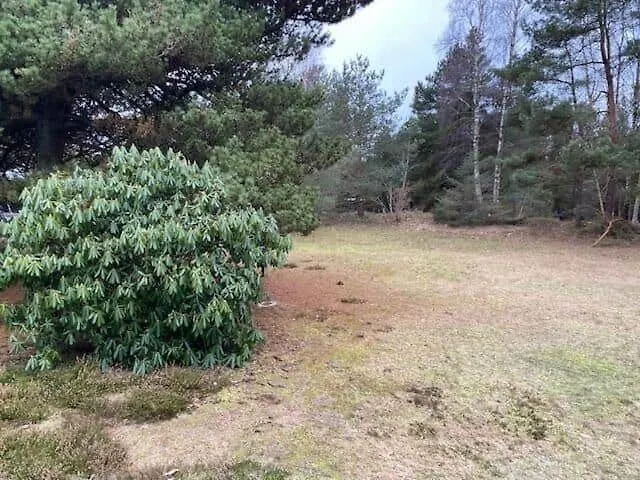 Сasa de vacaciones 11139-1-nykobing-sj-hasselsvinget-17 *